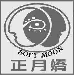 SOFT MOON