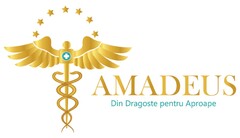 AMADEUS Din Dragoste pentru Aproape