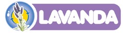 LAVANDA