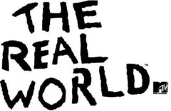 THE REAL WORLD MTV MUSIC TELEVISION