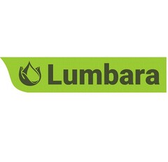 LUMBARA