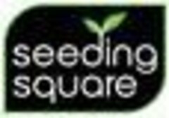 seeding square