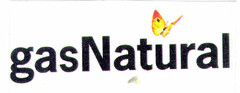 gas Natural