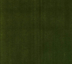 The colour green (pantone ref. 371C) applied to the synthetic backing of carpet tiles.