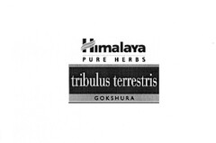 Himalaya PURE HERBS tribulus terrestris GOKSHURA