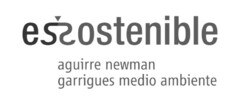 essostenible aguirre newman garrigues medio ambiente