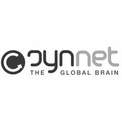 synnet THE GLOBAL BRAIN