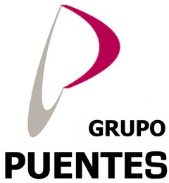 GRUPO PUENTES