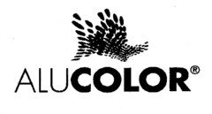 ALUCOLOR