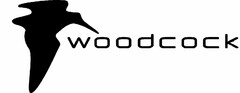 woodcock