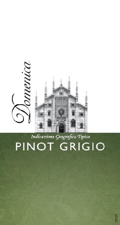 Domenica Indicazione Geografica Tipica Pinot Grigio