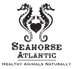 SEAHORSE ATLANTIC HEALTHY ANIMALS NATURALLY