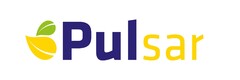 Pulsar