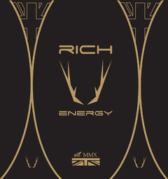 RICH ENERGY