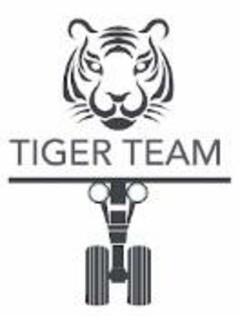 TIGER TEAM