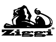 Ziggi