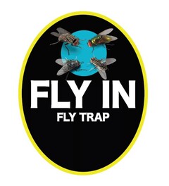 FLY IN FLY TRAP