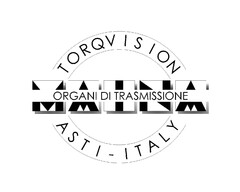 MAINA ORGANI DI TRASMISSIONE TORQVISION ASTI - ITALY