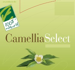 CamelliaSelect 100% natural