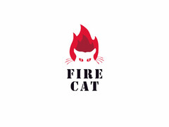 FIRE CAT