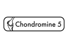 CHONDROMINE 5