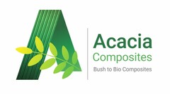 Acacia Composites Bush to Bio Composites