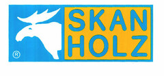 SKAN HOLZ