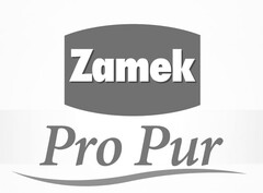 Zamek Pro Pur