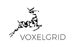 VOXELGRID