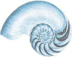 NAUTILUS