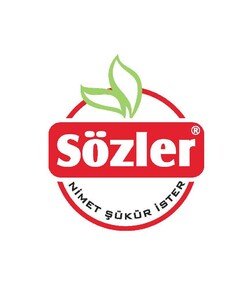 Sözler Nimet Sükür Ister