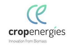 cropenergies Innovation from Biomass