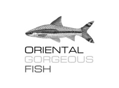 ORIENTAL GORGEOUS FISH