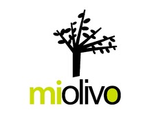 MI OLIVO