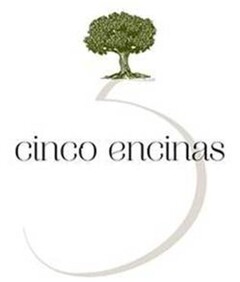 CINCO ENCINAS