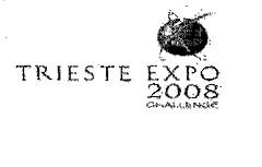 TRIESTE EXPO 2008 CHALLENGE