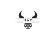 HAM