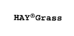 HAY Grass