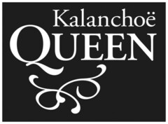 Kalanchoë QUEEN