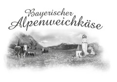 Bayerischer Alpenweichkäse