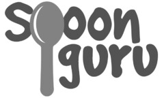 spoon guru