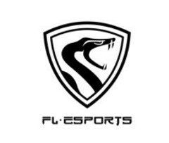 FLESPORTS