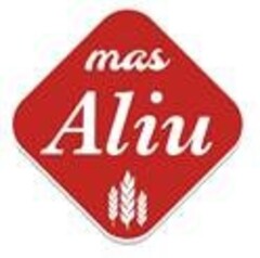 MAS ALIU