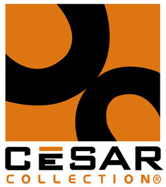 CESAR COLLECTION