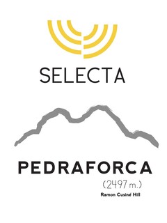 SELECTA PEDRAFORCA (2497 M.) RAMON CUSINÉ HILL