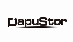 DapuStor