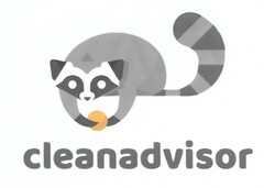 CLEANADVISOR