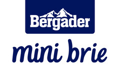 Bergader mini brie