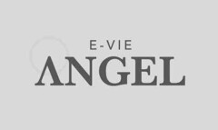 E-VIE ANGEL