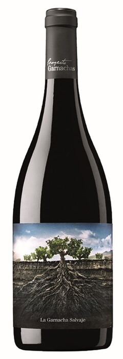 Proyecto Garnachas La Garnacha Salvaje